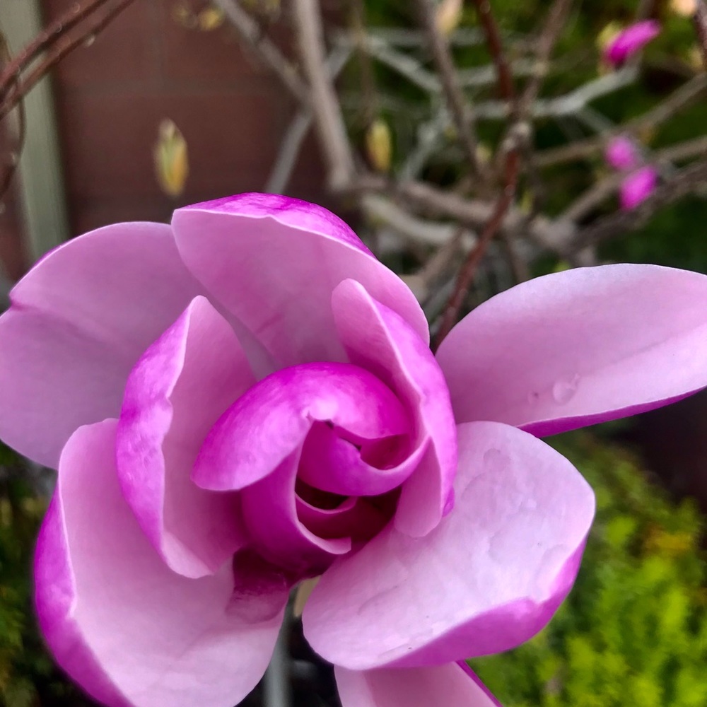 Meet your Posher, Natalia